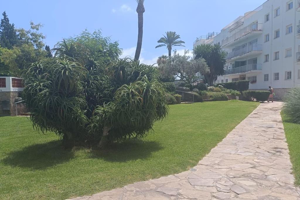 Apartamento 1ª Linea De Playa لقنت المظهر الخارجي الصورة